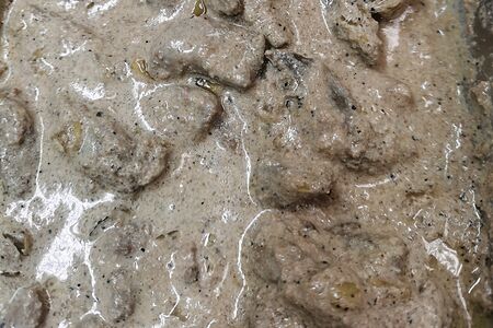 Печень по-строгановски