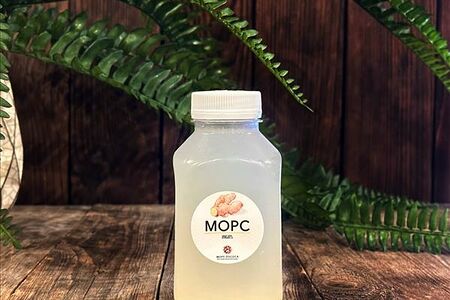 Морс Имбирный собственного приготовления