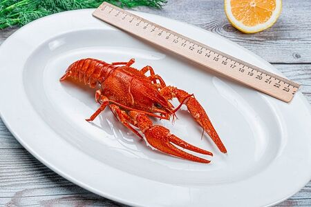 Раки севанские №5