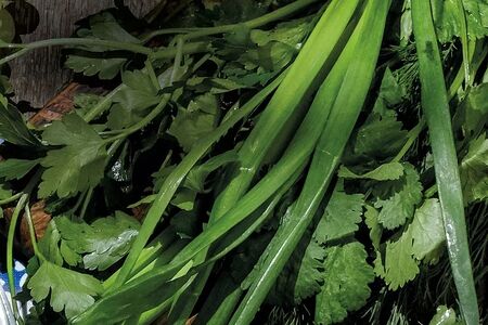 Ароматные травы