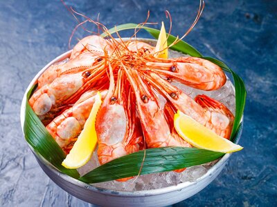 Креветки магаданские отварные