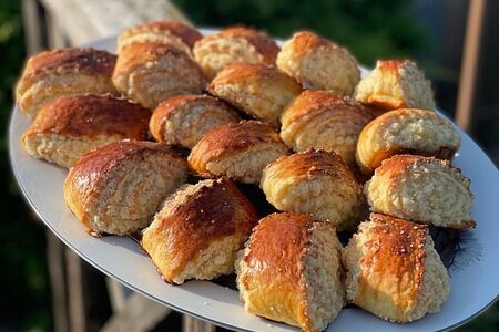 Гата турецкая