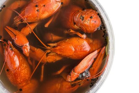 Рак отборный вареный