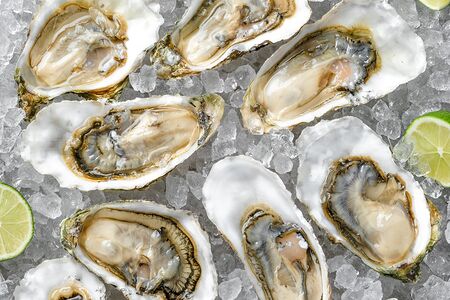 Сет Дальневосточный