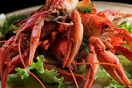 Крупный вареный рак