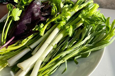 Ассорти из свежей зелени