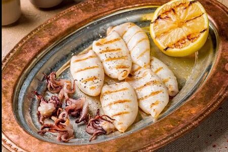 Кальмары патагония