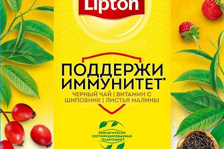 Lipton Чай чер с вит С/шиповник/малина/земляника 100пак
