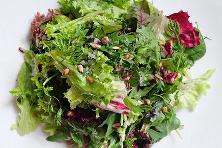 Листовой салат с пряными травами