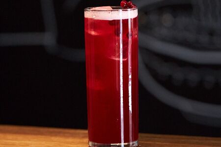 Лимонад Брусника-мята