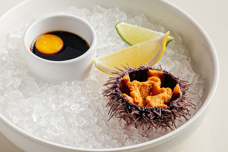 Мурманский ёж