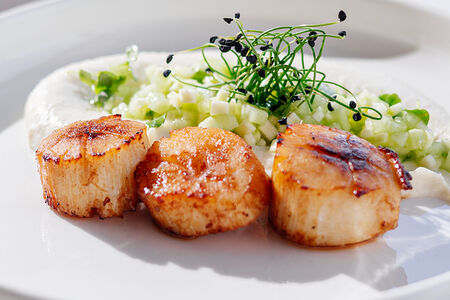 Морские гребешки с тартаром из огурца