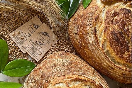 Тартин цельнозерновой