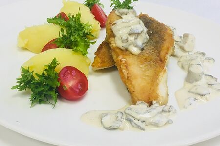 Судак с картофельным пюре и грибным соусом