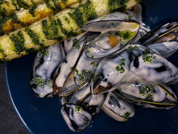 Мидийная точка