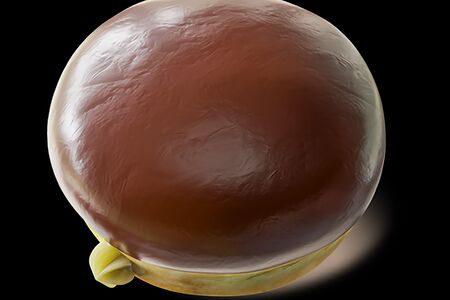 Шелл оригинальный с заварным баварским кремом