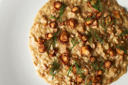 Ризотто с лисичками