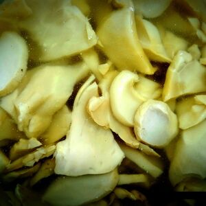 Шампиньоны маринованные