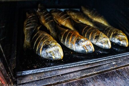 Форель, запеченная с овощами