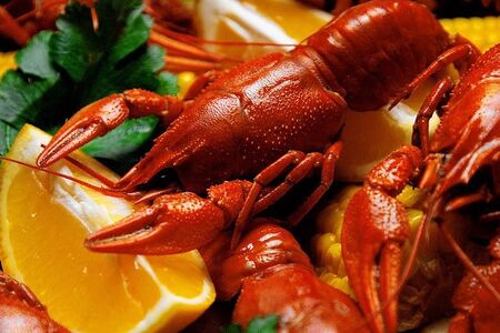 Раки Император 6 категории