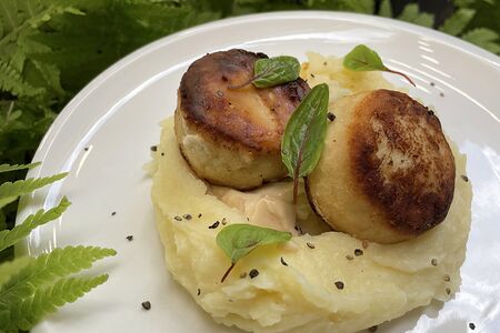 Пюре с куриной котлетой с соусом Бешамель