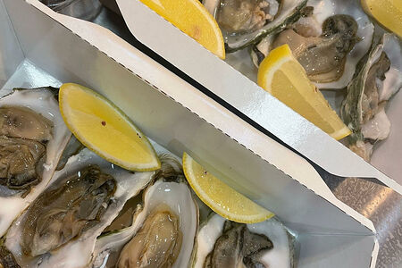 Устрица Черноморская