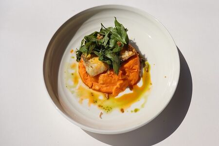 Судак на пюре из батата с соусом голландез