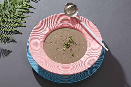 Суп грибной