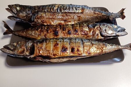 Скумбрия на дровах