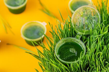 Витграсс на 5 дней