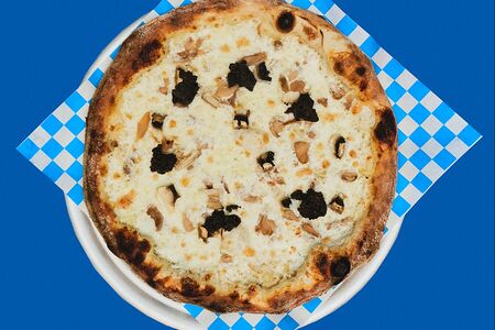 Грибной тур