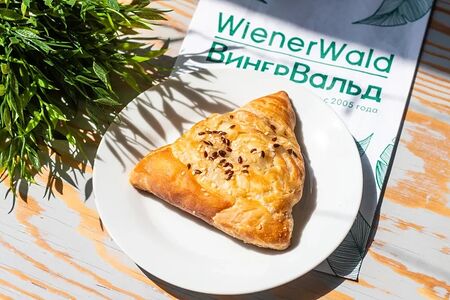 Самса с курицей