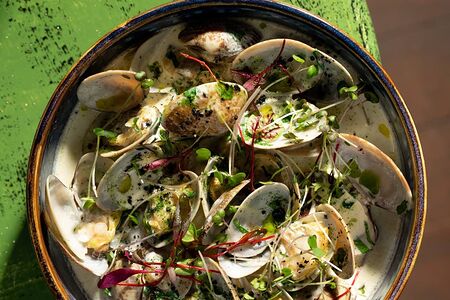 Вонголе в сливочном соусе