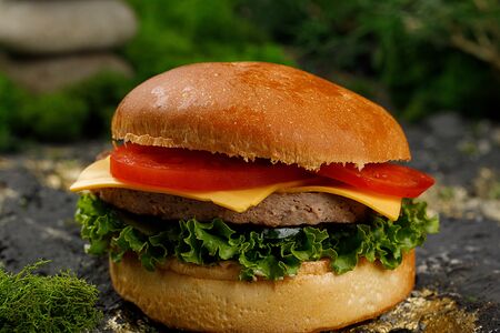 Бургер с говядиной