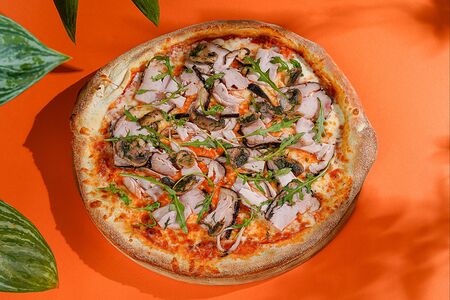 Индейка Грибы