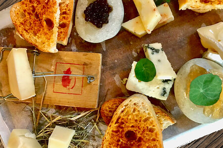 Дегустация сыра