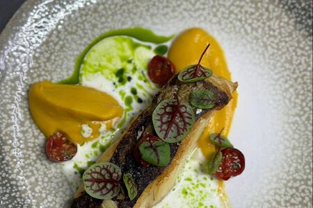 Треска, крем из тыквы и сливочно-винный соус