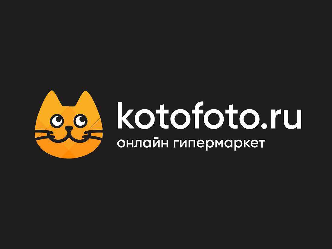 Котофото ростов на дону