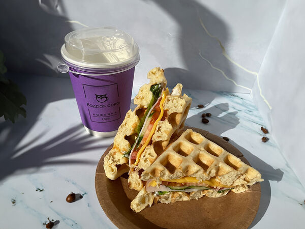 Бодрая сова