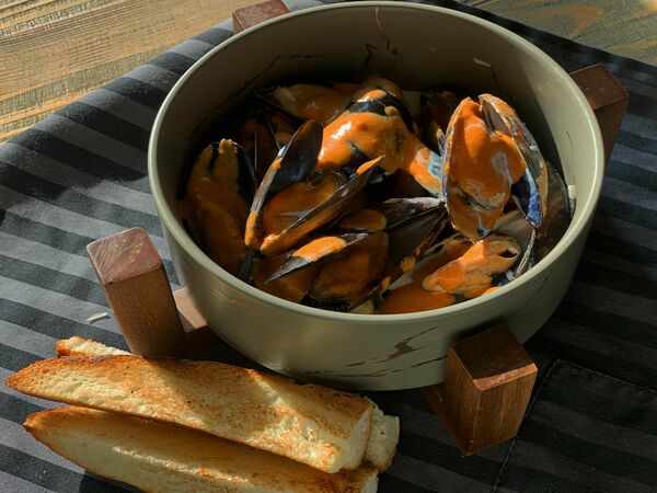 Мидийная точка