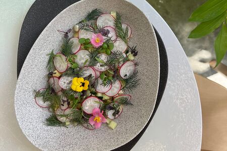 Окрошка на малиновом квасе