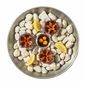 Сет мурманских ежей