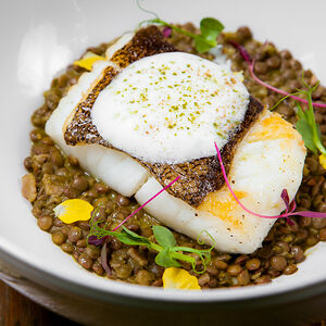 Палтус и чечевичотто