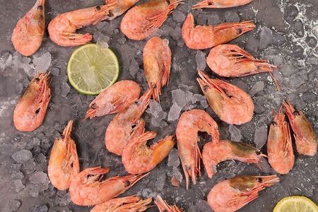 Креветка северная