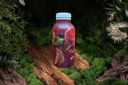 Смородина-лайм