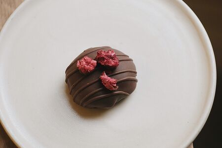 Сухофрукт в молочном шоколаде с фундучной пастой Vegan