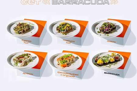 Сет Барракуда