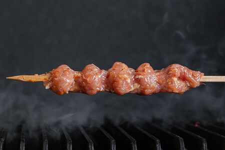 Люля-кебаб куриный маринованный