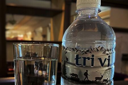 Вода Trivi негазированная