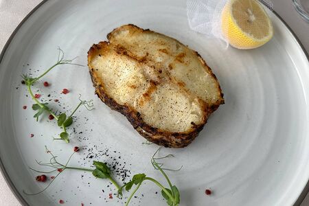 Чилийский сибас